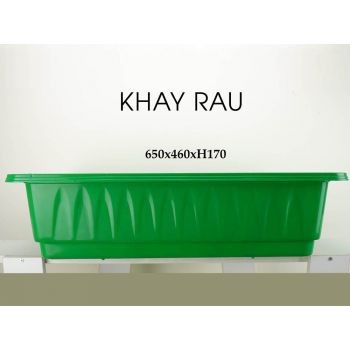 Khay rau