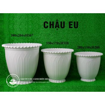 Chậu EU