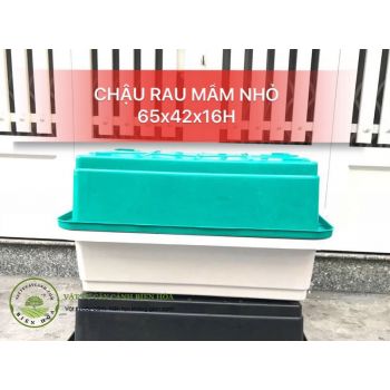 Chậu rau mầm nhỏ