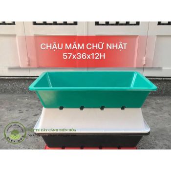 Chậu mầm chữ nhật