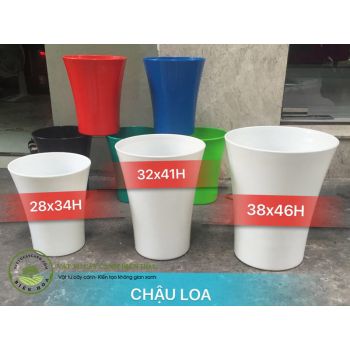 Chậu loa