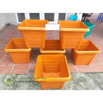 Chậu nhựa trồng cây