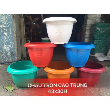 Chậu tròn cao trung