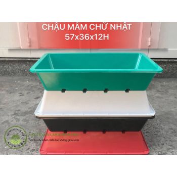 Chậu mâm chữ nhật