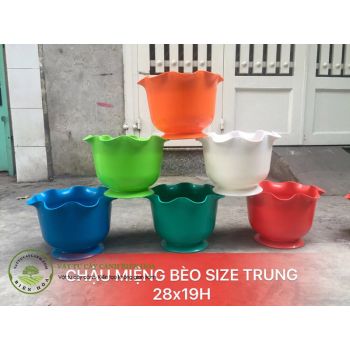 Chậu miệng bèo