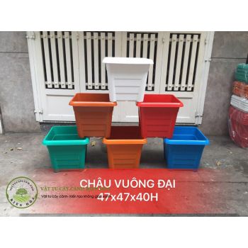 Chậu vuông đại