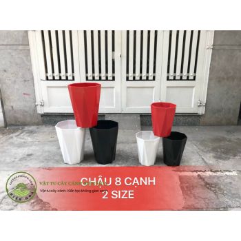 Chậu 8 cạnh 