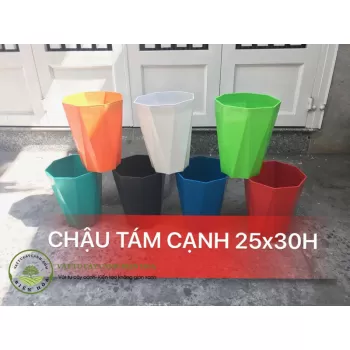 Chậu tám cạnh 
