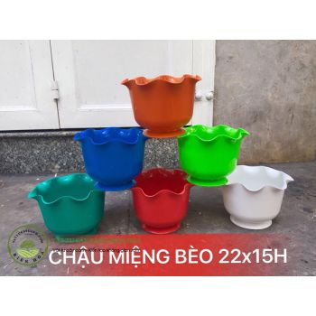 Chậu miệng bèo