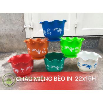 Chậu miệng bèo in