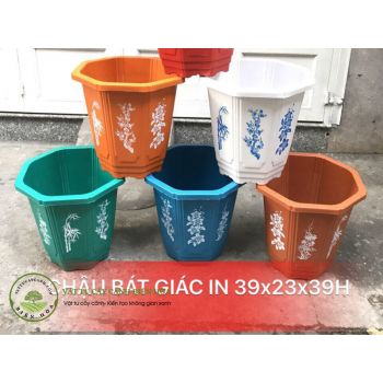 Chậu bát giác in