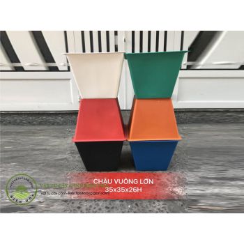 Chậu vuông lớn