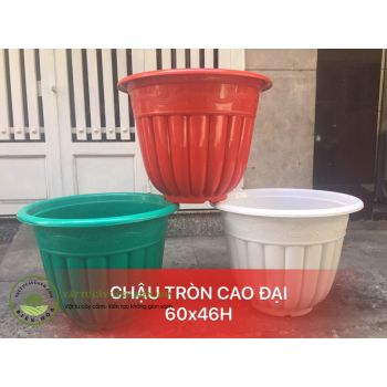 Chậu tròn cao đại