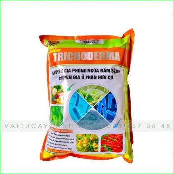 Trichoderma - HPĐ Chuyên Gia Ủ Phân Hữu Cơ, Phòng Trừ Nấm Bệnh Cây Trồng