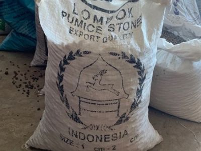 Đá Bọt (Đá Pumice) Indo