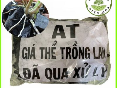 Giá Thể Trồng Lan - Than Đã Xử Lý