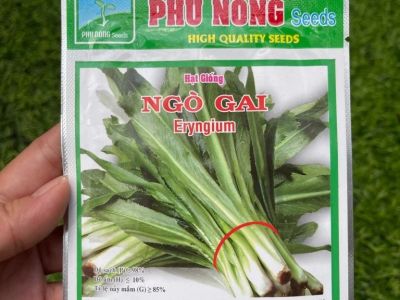Ngò Gai -5 gram Phú Nông