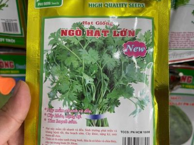 Ngò hạt lớn Phú Nông , gói 20 gram