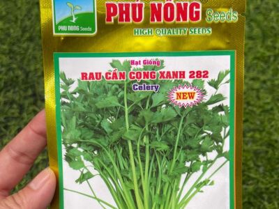 Rau cần cọng xanh 282 - Phú Nông