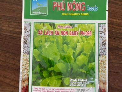 Xà lách ăn non baby PN095 - Phú Nông 10gram