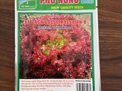 Xà lách Lollo rossa 2gram PN9 - Phú Nông