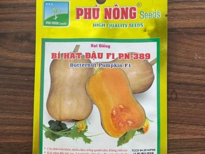 Bí đỏ hạt đậu F1 PN389 - Phú Nông