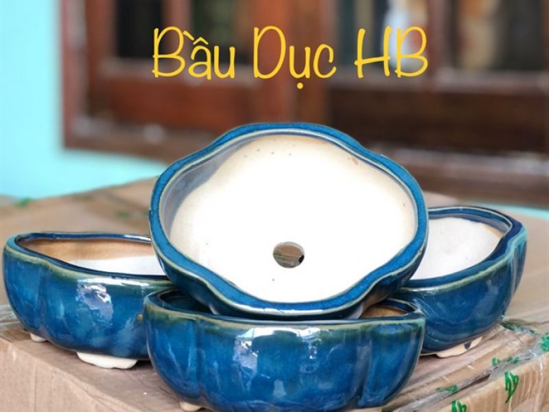 Chậu bầu dục hoả biến 