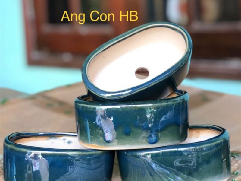 Chậu Ang con hoả biến