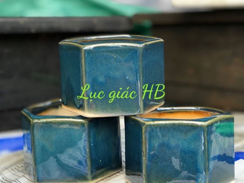 Chậu lục giác hoả biến 