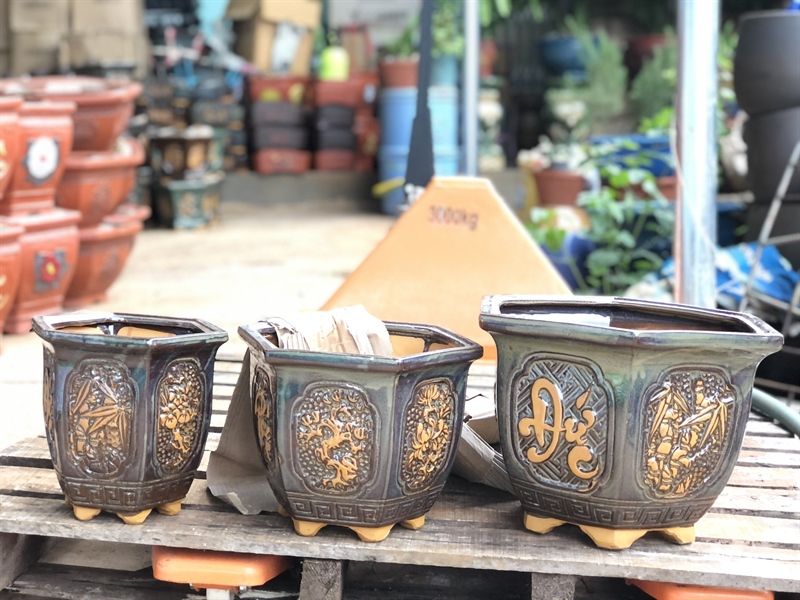 Chậu phúc đức hoả biến 