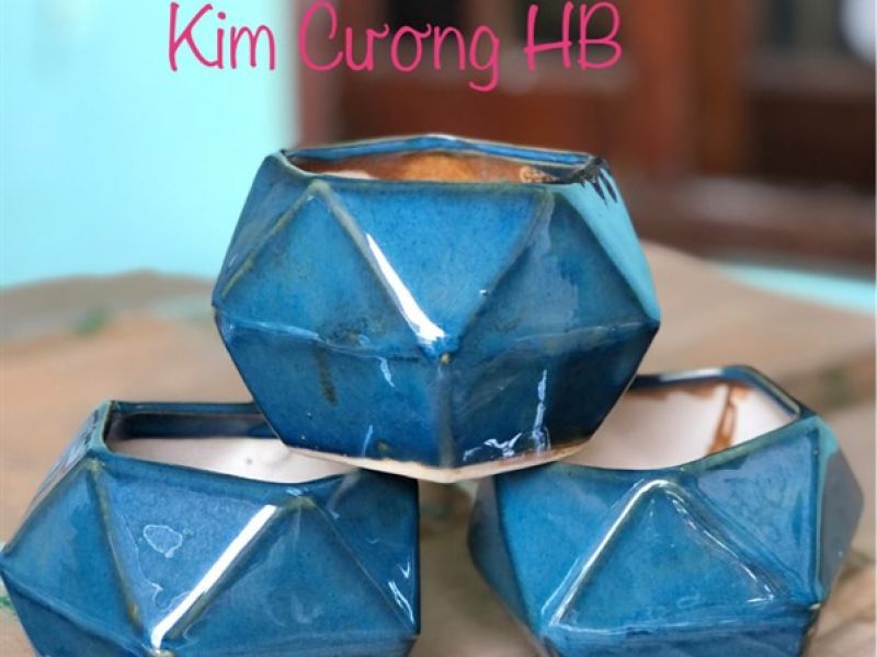 Chậu kim cương hoả biến