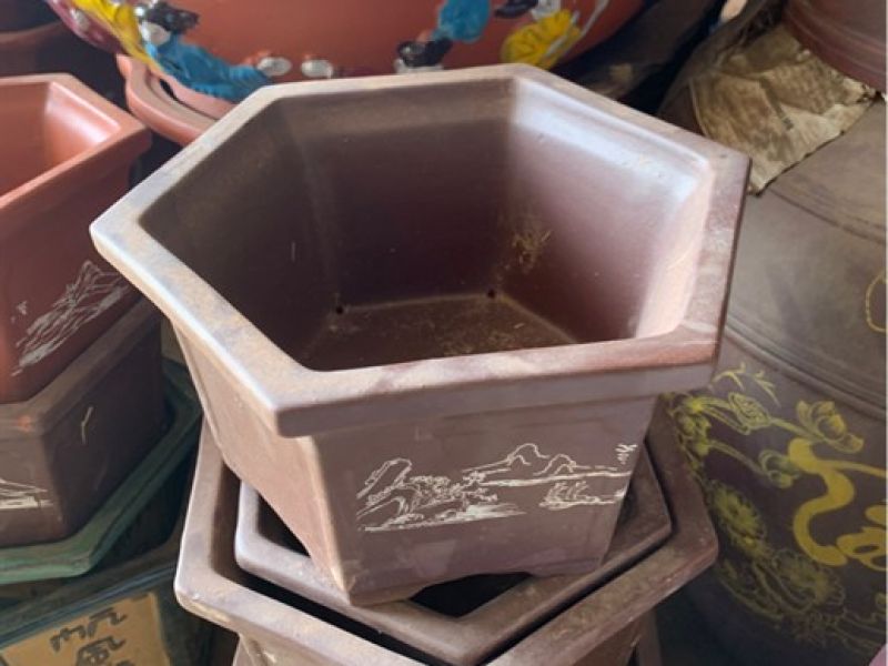 Chậu đất lục bonsai