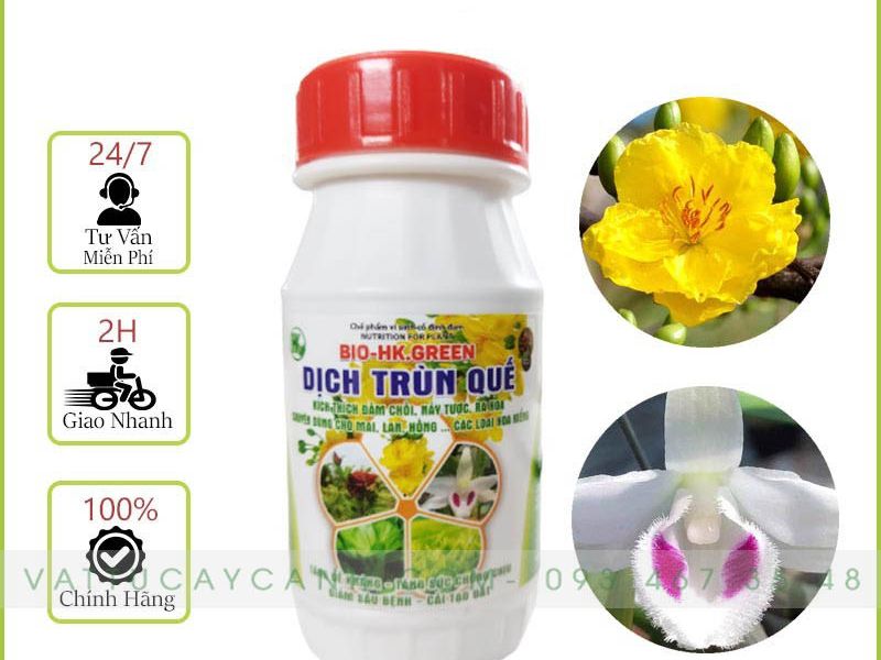 Dịch Trùn Quế Hữu Cơ BIO - HK - GREEN – Chuyên Kích Chồi, Nảy Tược, Ra Hoa 