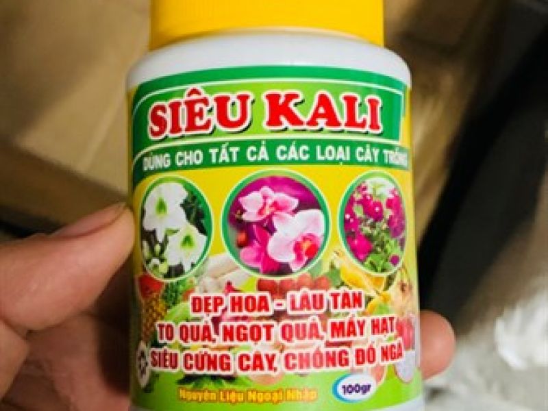 Siêu kani