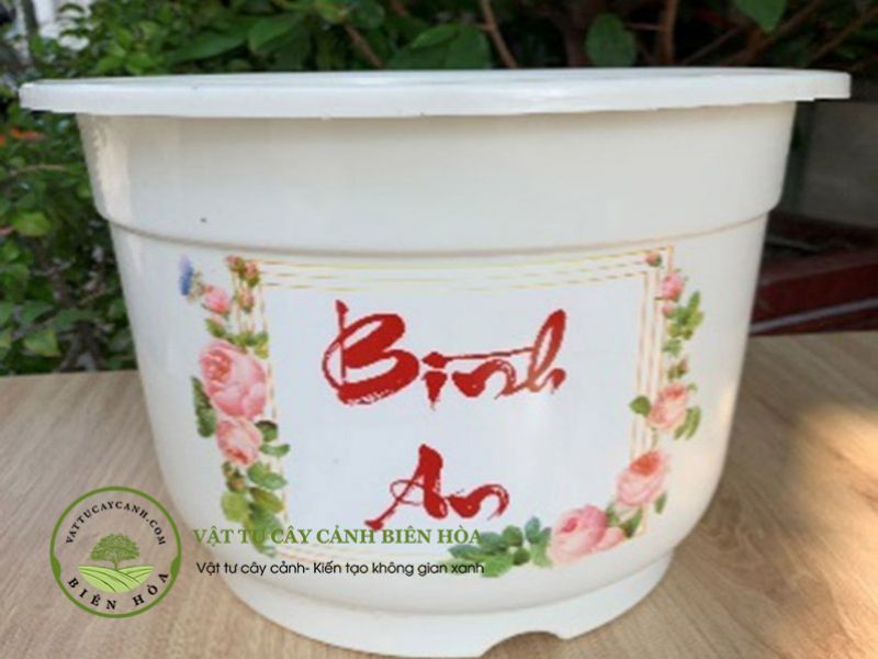 Chậu Cát tường