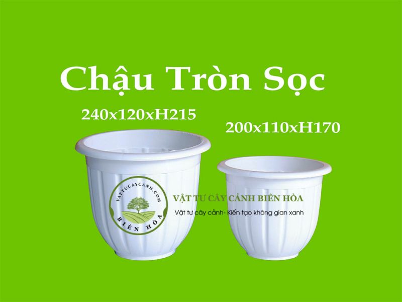 Chậu tròn sọc