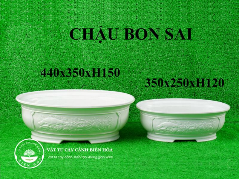 Chậu bon sai