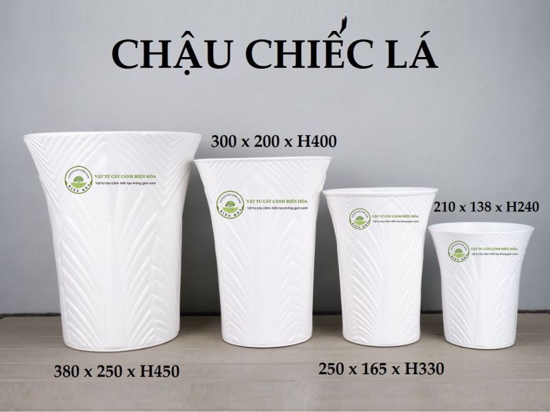 Chậu chiếc lá