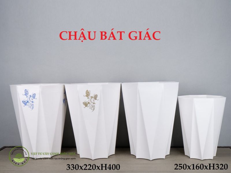 Chậu bát giác
