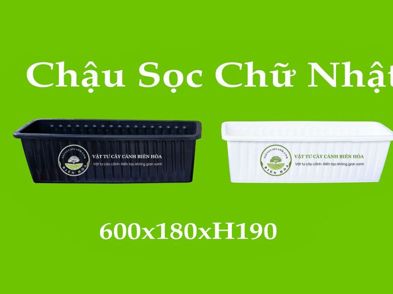 Chậu sọc chữ nhật