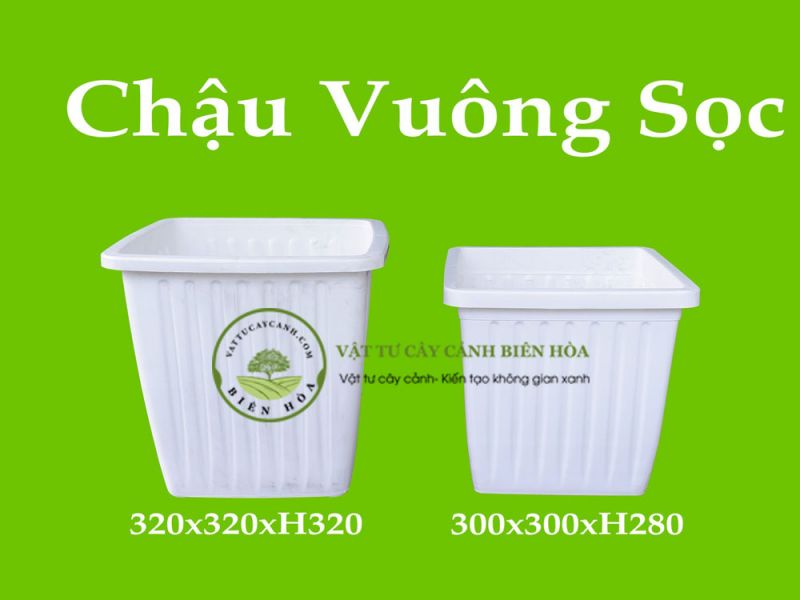 Chậu vuông sọc