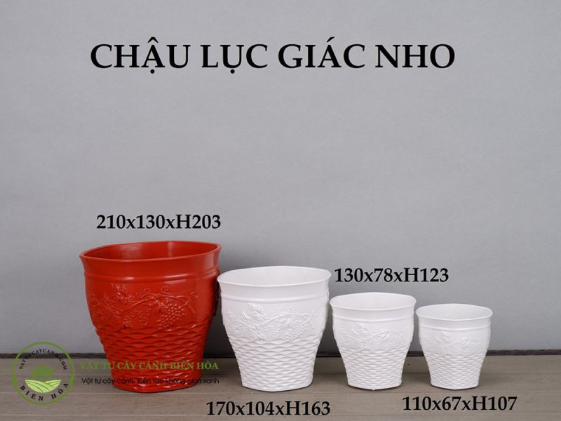 Chậu lục giác nho