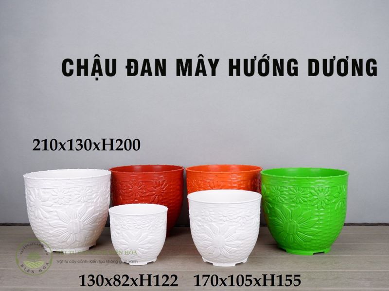 Chậu đan mây hướng dương