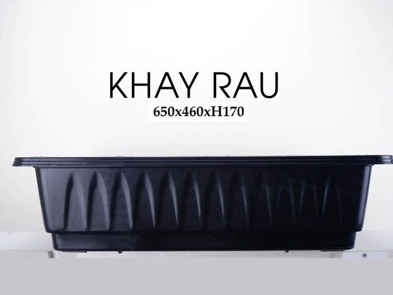 Khay rau