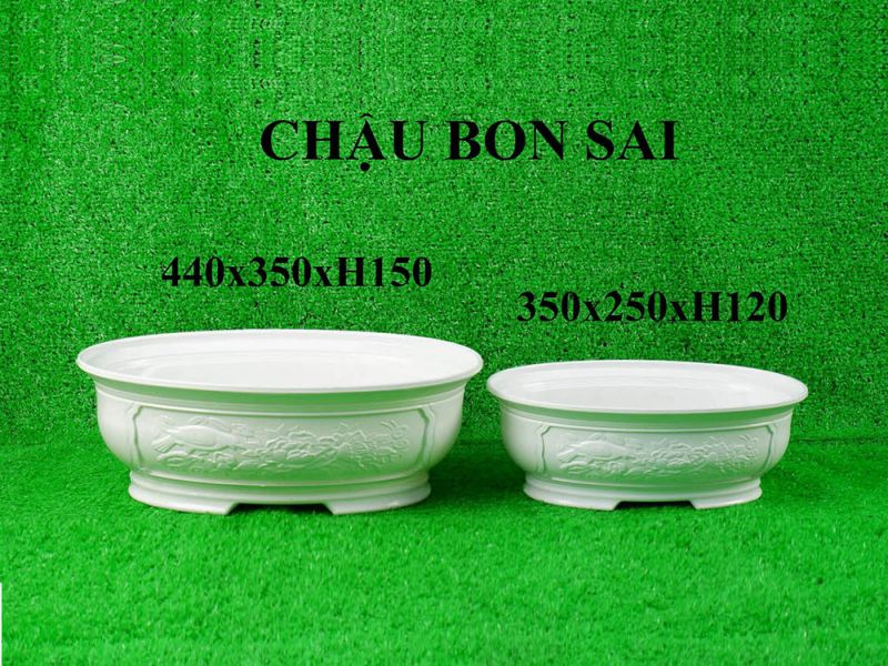 Chậu bon sai