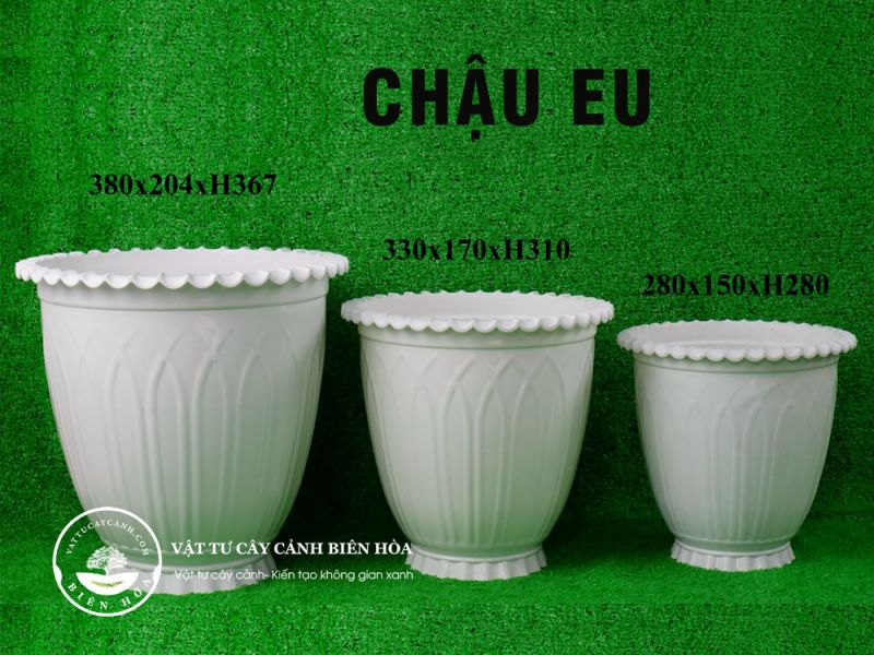 Chậu EU