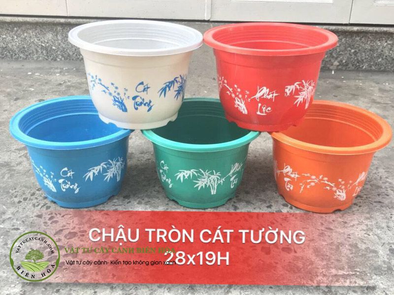 Chậu tròn cát tường