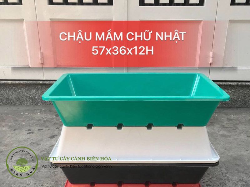 Chậu mầm chữ nhật