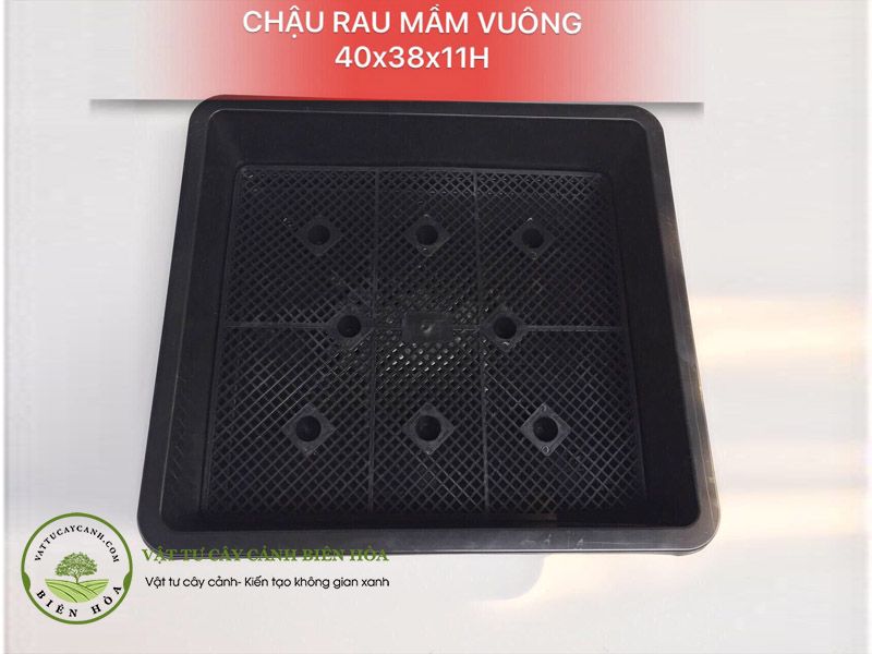 Chậu rau mầm vuông