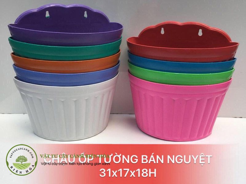 Chậu ốp tường bán nguyệt